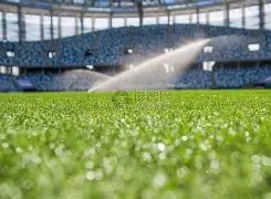 胜领跑,却遭遇,天低谷,B体育,B,SPORTS,B体育官网,B体育官网,B体育下载